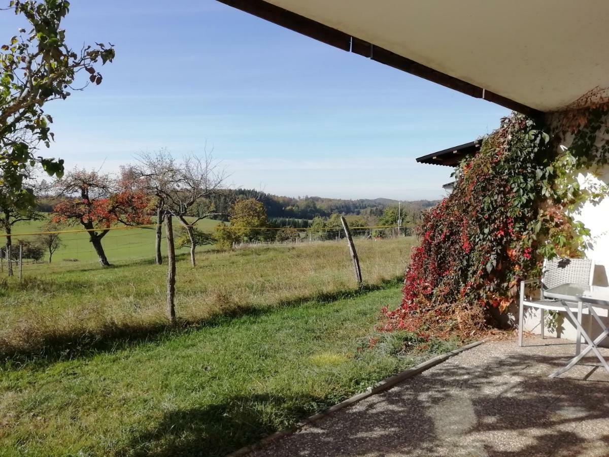 Alpenblick Apartment Nordschwaben Bagian luar foto